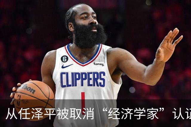 从任泽平被取消“经济学家”认证说起