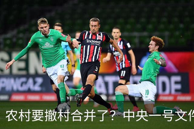农村要撤村合并了？中央一号文件明确规定，农民必须有发言权