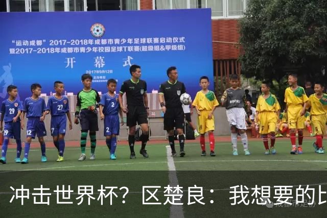 冲击世界杯？区楚良：我想要的比奇迹更多