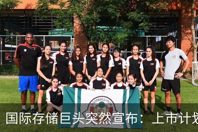 国际存储巨头突然宣布：上市计划暂停→