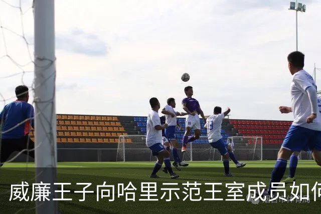 威廉王子向哈里示范王室成员如何真正接受电视采访，差距一目了然