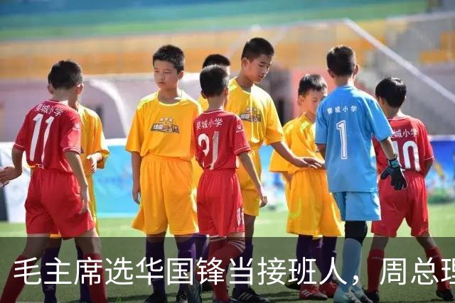 毛主席选华国锋当接班人，周总理很是不解，主席说出3个理由