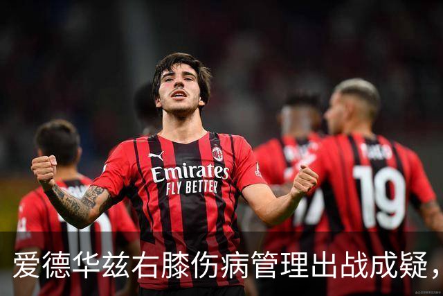 爱德华兹右膝伤病管理出战成疑，森林狼客战骑士少了迪文岑佐