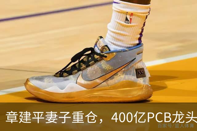 章建平妻子重仓，400亿PCB龙头封死涨停