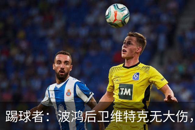 踢球者：波鸿后卫维特克无大伤，仅伤口需处理